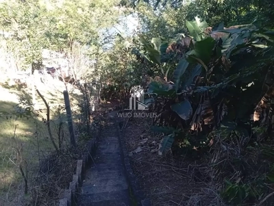 Chácara, 2 quartos, 600 m² - Foto 4