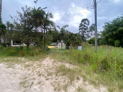 Casa, 4 quartos - Foto 3