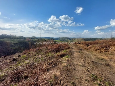 Sítio, 3 hectares - Foto 4