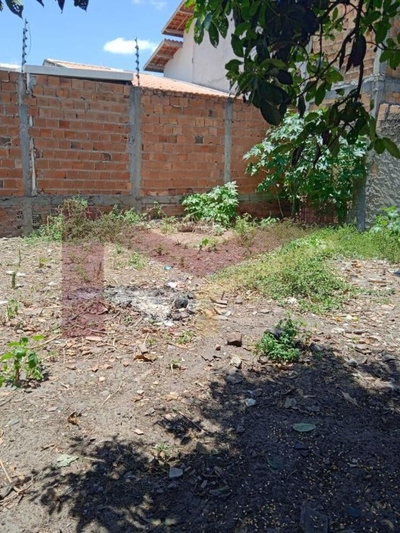 Terreno, 250 m² - Foto 3