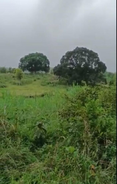 Fazenda-Sítio-Chácara, 20 hectares - Foto 4