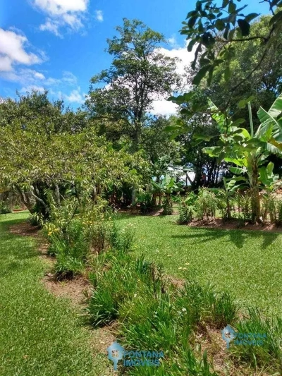 Sítio, 3 quartos, 2000 m² - Foto 1