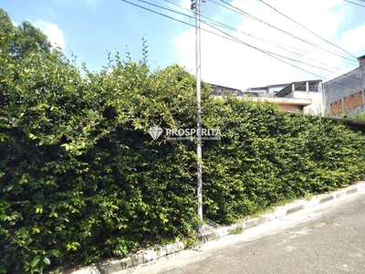 Terreno, 250 m² - Foto 3