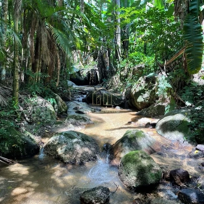 Chácara, 3 quartos, 4633 m² - Foto 3