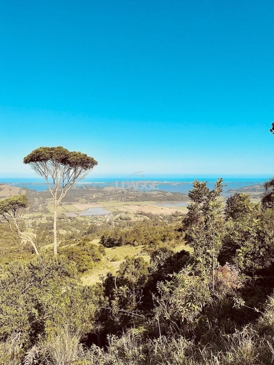 Terreno, 2 hectares - Foto 4