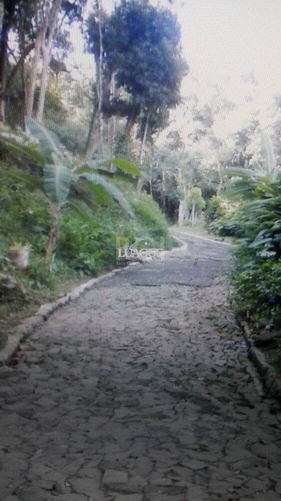 Sítio, 3 quartos, 241 m² - Foto 2