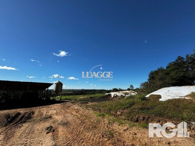 Sítio, 2 quartos, 18501 m² - Foto 1