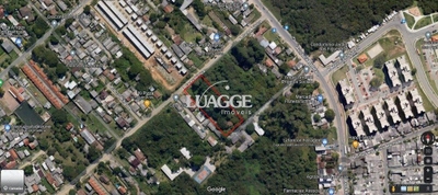 Terreno, 3001 m² - Foto 4