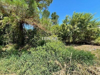 Terreno, 3001 m² - Foto 3