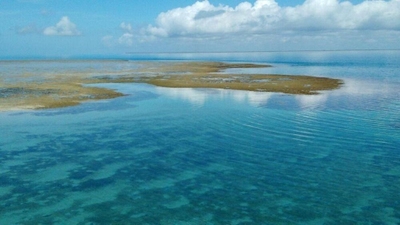 Fazenda-Sítio-Chácara, 5 hectares - Foto 4