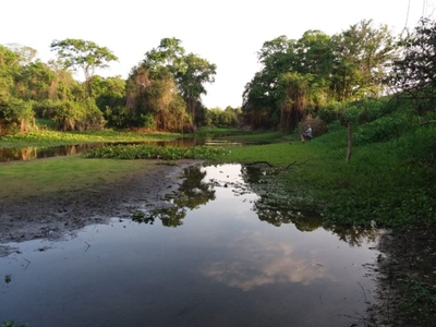 Fazenda-Sítio-Chácara - Foto 1