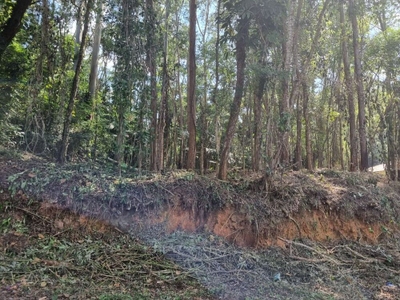 Terreno, 2400 m² - Foto 3