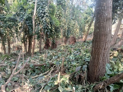 Loteamento e Condomínio, 2000 m² - Foto 5