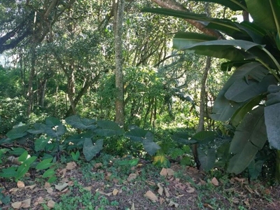 Loteamento e Condomínio, 300 m² - Foto 1