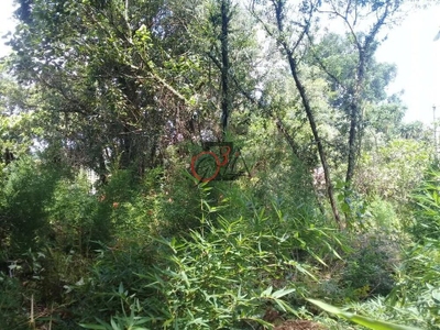 Loteamento e Condomínio, 800 m² - Foto 4