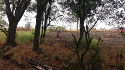 Terreno, 1890 m² - Foto 3