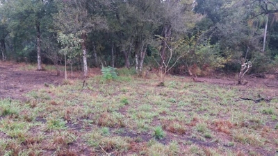 Terreno, 1890 m² - Foto 2