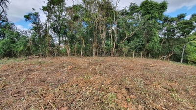 Loteamento e Condomínio, 3203 m² - Foto 3