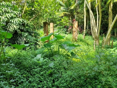 Loteamento e Condomínio, 4957 m² - Foto 4