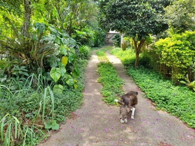 Loteamento e Condomínio, 4957 m² - Foto 1