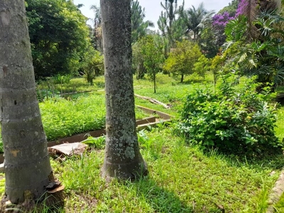 Loteamento e Condomínio, 4957 m² - Foto 3