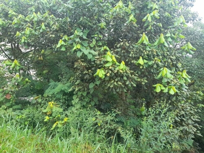 Loteamento e Condomínio, 898 m² - Foto 5