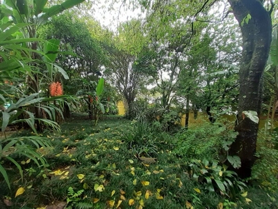 Casa, 3 quartos, 250 m² - Foto 5