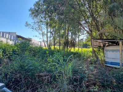 Terreno, 2 hectares - Foto 5