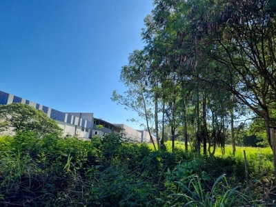 Terreno, 2 hectares - Foto 4