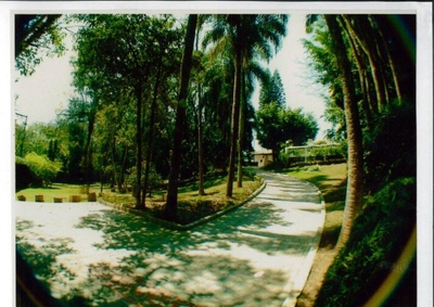 Casa, 4 quartos, 789 m² - Foto 3