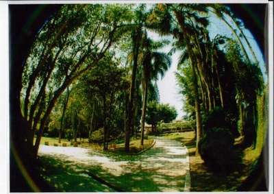 Casa, 4 quartos, 789 m² - Foto 2