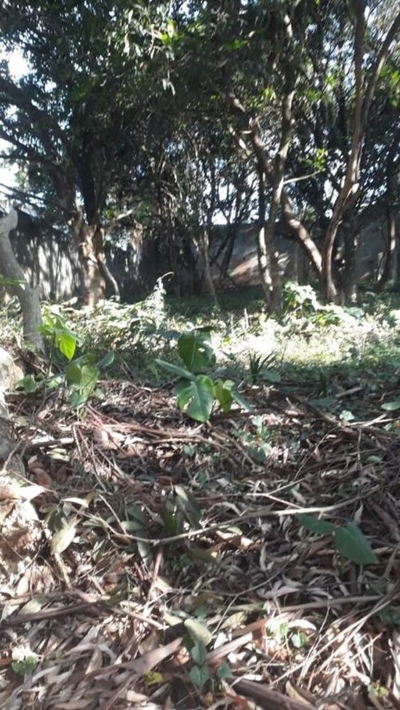 Loteamento e Condomínio, 520 m² - Foto 5