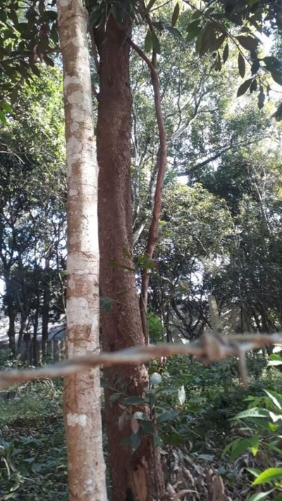 Loteamento e Condomínio, 520 m² - Foto 3