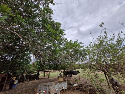 Sítio, 2 quartos, 4 m² - Foto 3