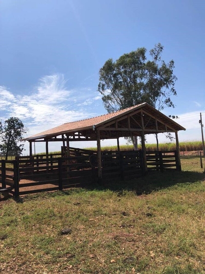 Chácara, 3 quartos, 3 m² - Foto 4