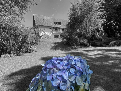 Apartamento, 1 quarto, 32 m² - Foto 3