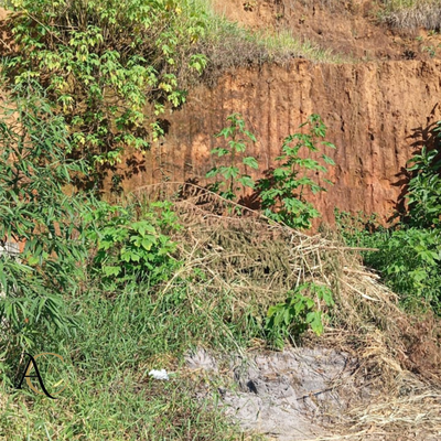 Terreno, 1052 m² - Foto 4