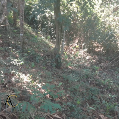 Terreno, 587 m² - Foto 4