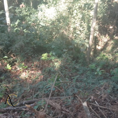 Terreno, 587 m² - Foto 3