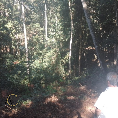 Terreno, 587 m² - Foto 2