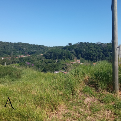 Terreno, 1677 m² - Foto 3