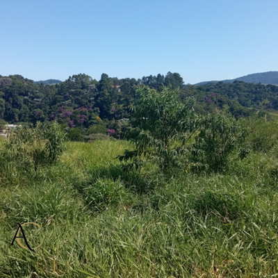 Terreno, 1677 m² - Foto 4