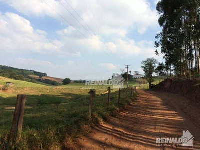 Fazenda-Sítio-Chácara, 15 hectares - Foto 3