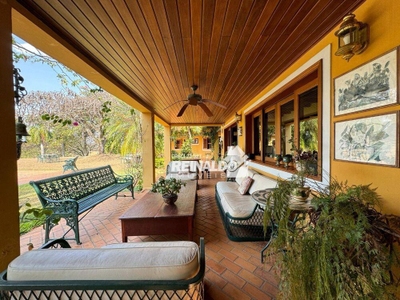 Fazenda-Sítio-Chácara, 261 hectares - Foto 5