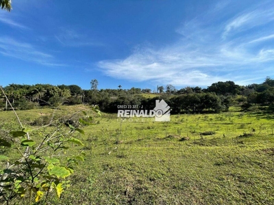 Terreno, 3 hectares - Foto 2