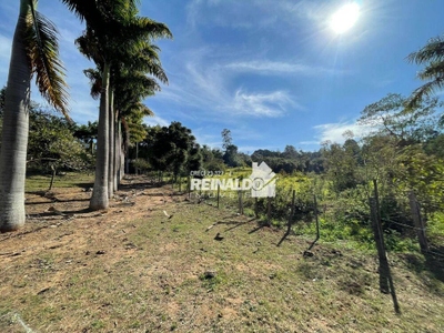 Terreno, 3 hectares - Foto 4