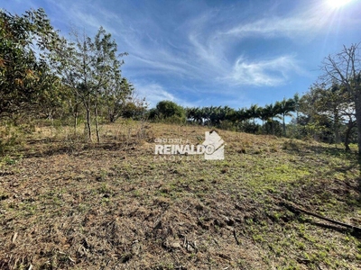 Terreno, 3 hectares - Foto 5