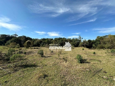 Sítio, 2 quartos, 4 hectares - Foto 3