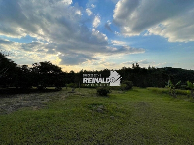 Sítio, 2 quartos, 5 hectares - Foto 4