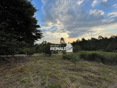 Sítio, 2 quartos, 5 hectares - Foto 5